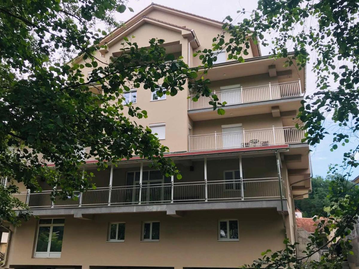 Apartmani & Spa Matin Breg Josanicka Banja Dış mekan fotoğraf